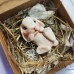 Collana lunga con miniatura del vosto animale cane o gatto o coniglio