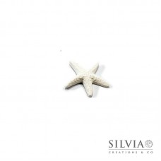 Gessetto a forma di stella marina da 40 mm