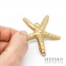 Charm link a forma di stella marina oro opaco 52x50 mm